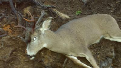 IMG_1958.JPG